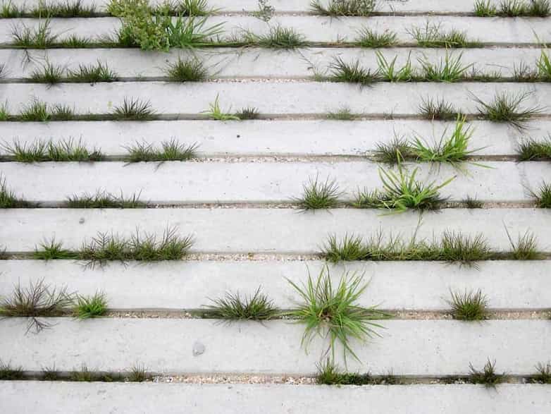 Detail of wheelchair access ramp to new teaching decks, grasses grow between the concrete planks.