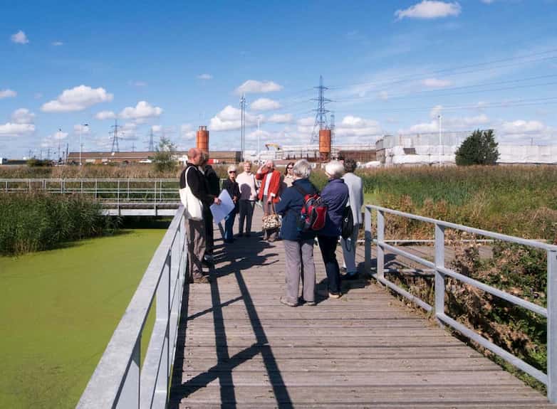 Visitor group, seen here on a new section of boardwalk, set within the restored reedbeds.
